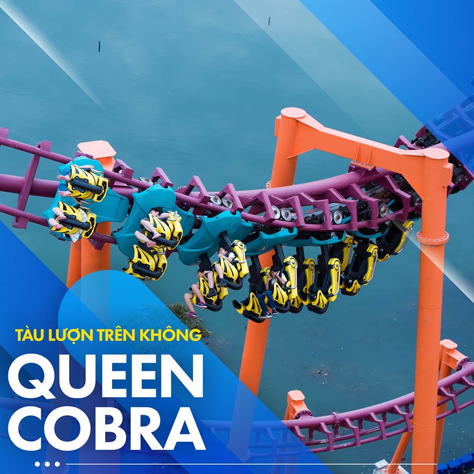Queen Cobra – tàu lượn dạng treo dài nhất Việt Nam